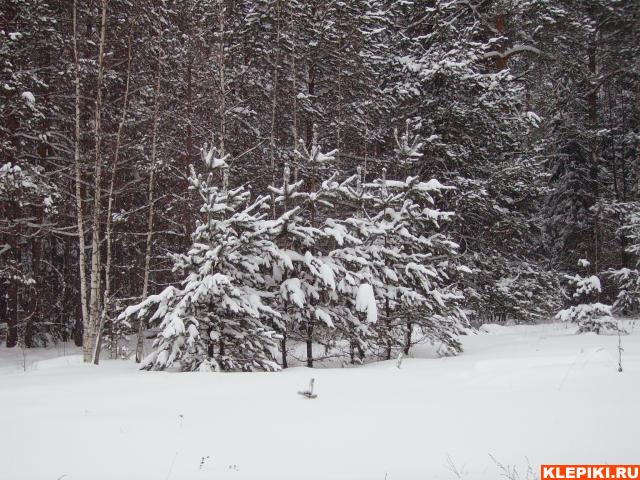 PICT0323