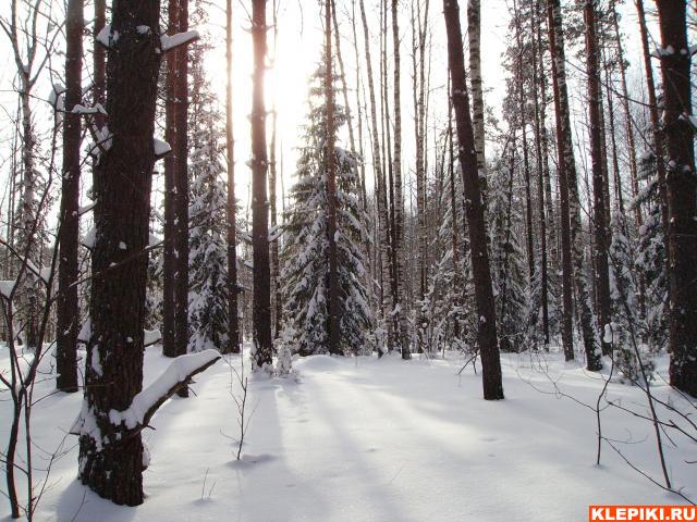 PICT0349