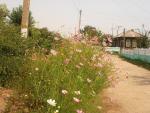 DSC03125