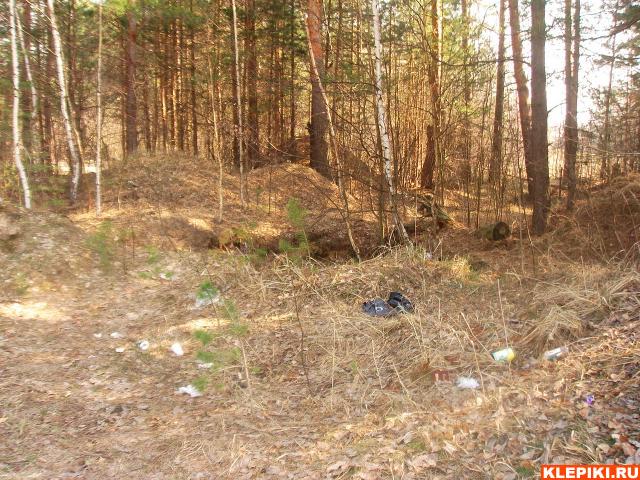 DSC04631