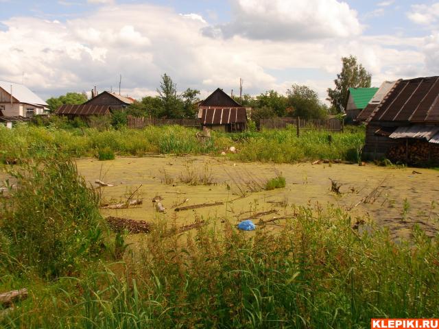 DSC05782