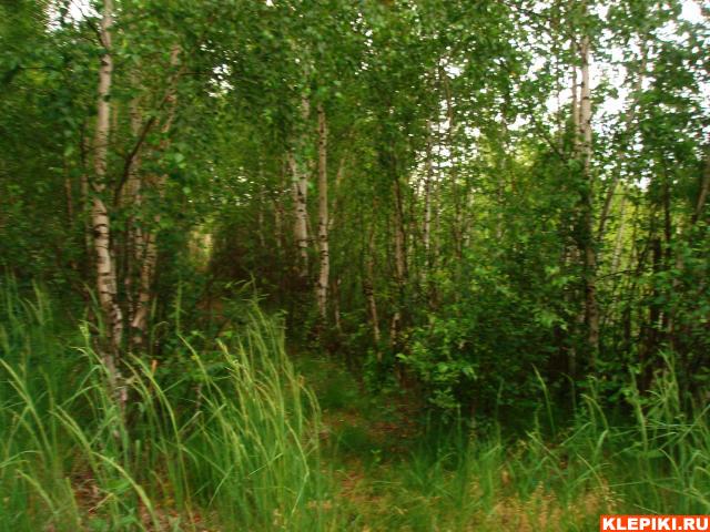 DSC05737