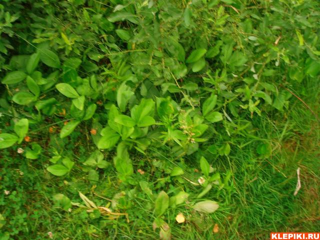 DSC05736