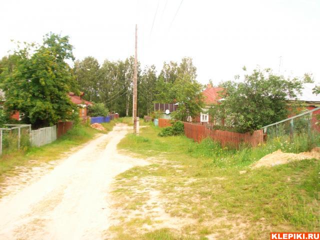 DSC05784