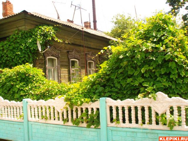 DSC05774