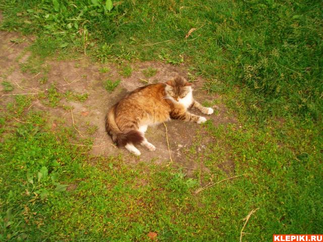 DSC05701