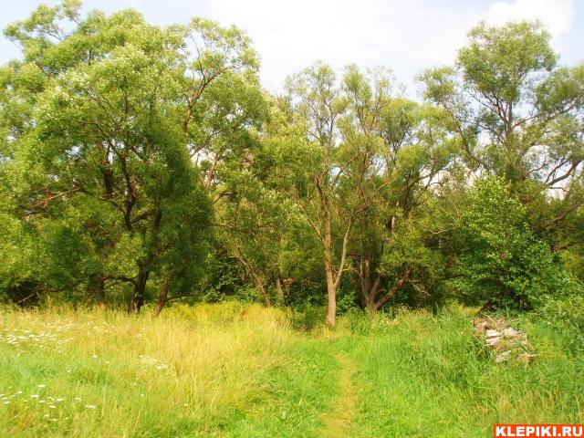 DSC05840