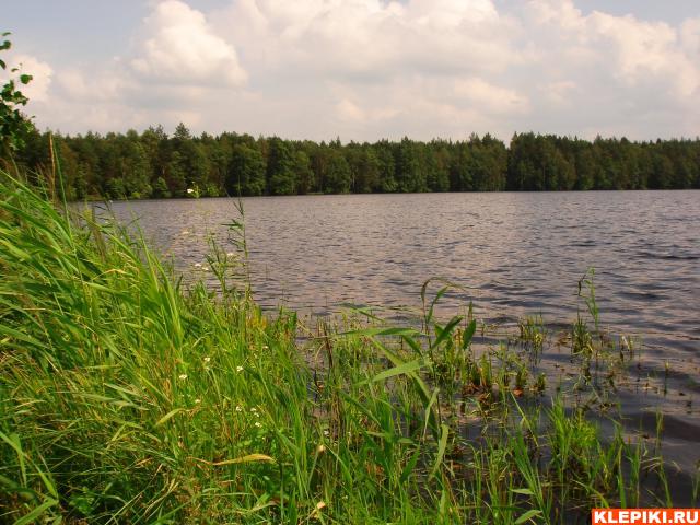 DSC05851