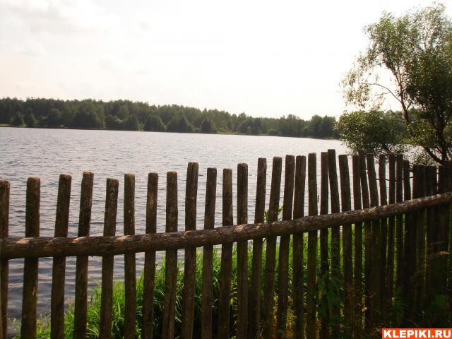 DSC05870