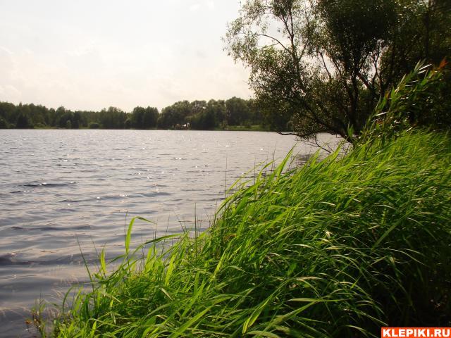 DSC05872