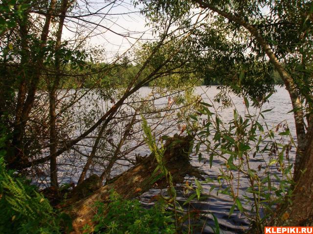 DSC05875