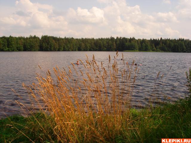 DSC05876