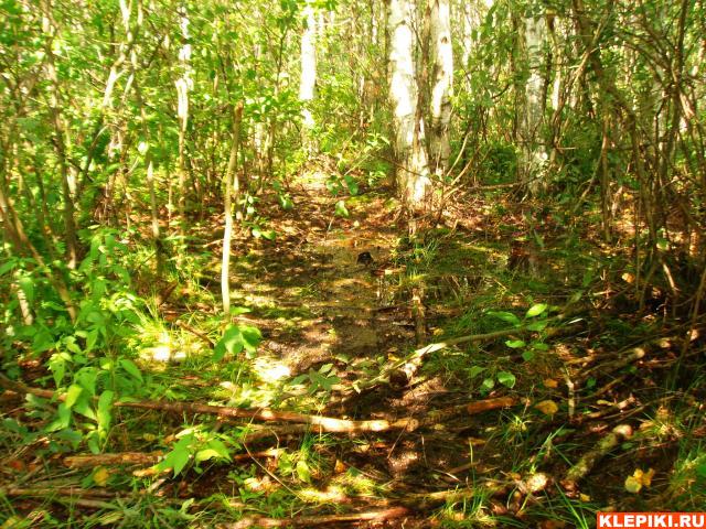 DSC05889