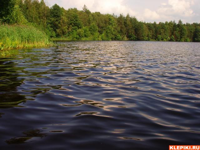 DSC05895