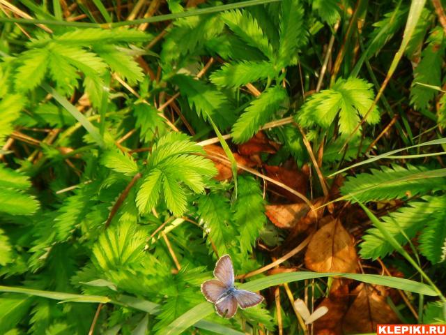DSC05907