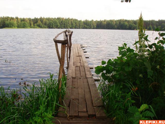 DSC05920