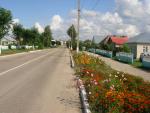 DSC07110
