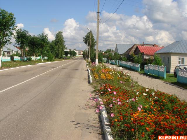 DSC07110