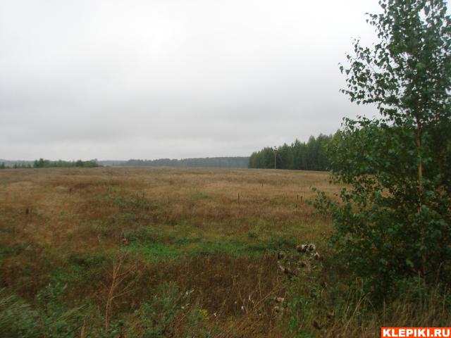 DSC07062