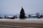DSC00636