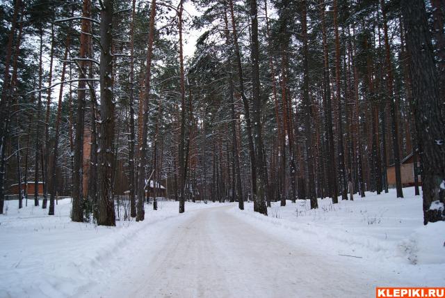 DSC00709