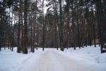 DSC00709