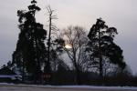DSC00748