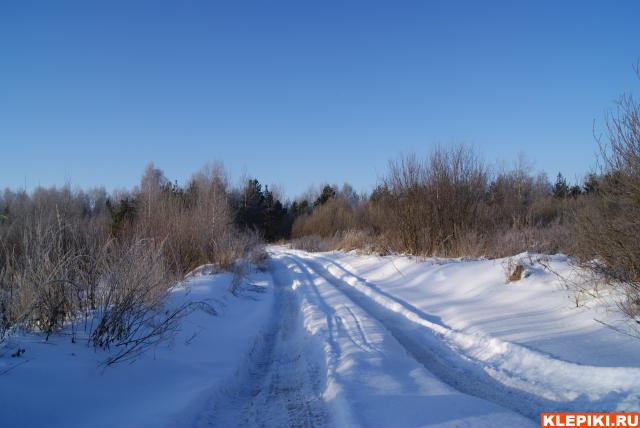 DSC00774
