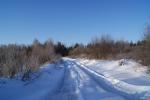 DSC00774