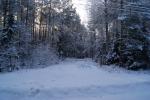 DSC00809