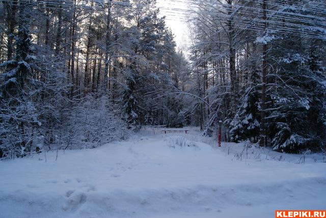 DSC00809