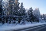 DSC00815