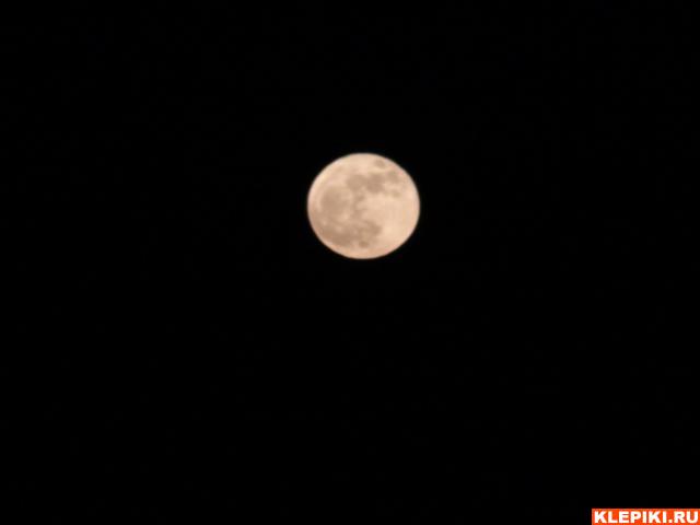 DSC00923