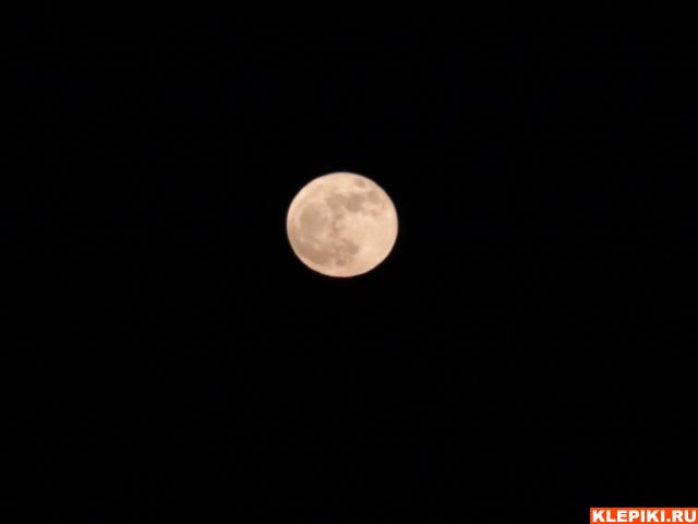 DSC00924