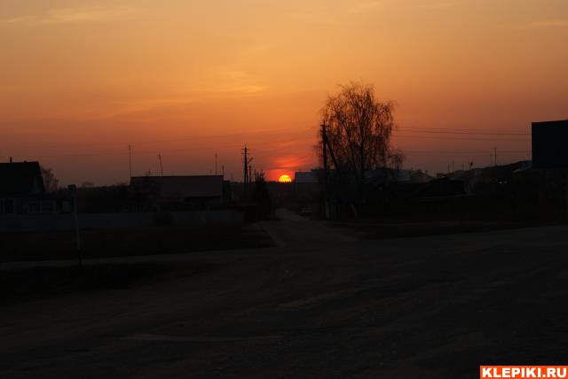 DSC01929