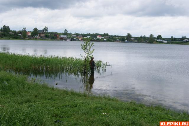 DSC02534