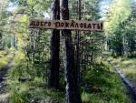 Лесные мотивы