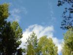 DSC00506