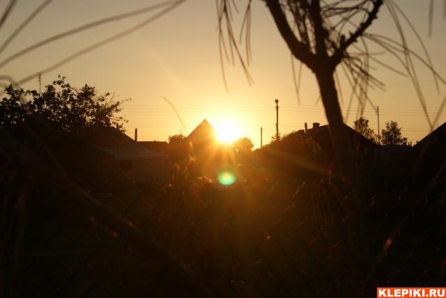 DSC02634