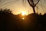 DSC02634