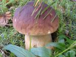 DSC00502