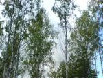 DSC00496