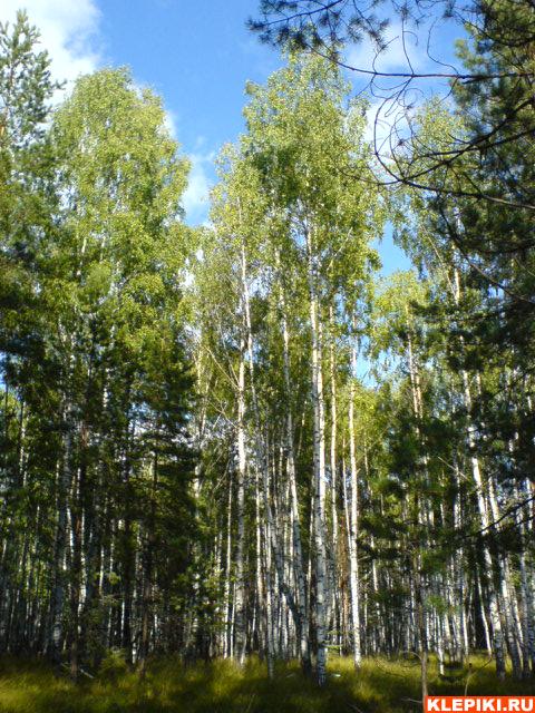 DSC00504
