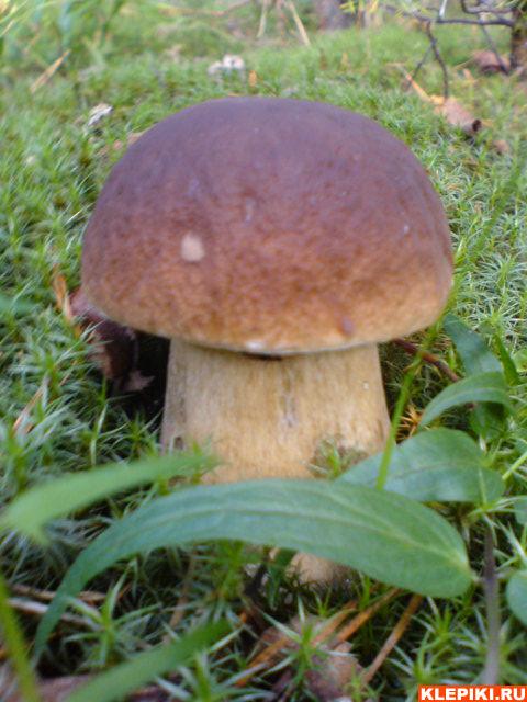 DSC00503