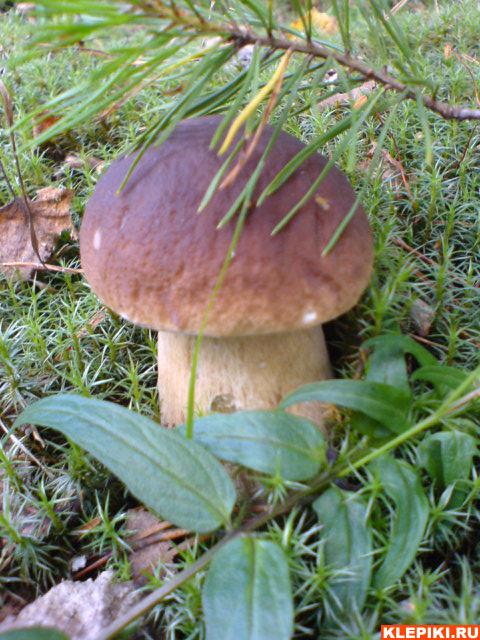 DSC00502