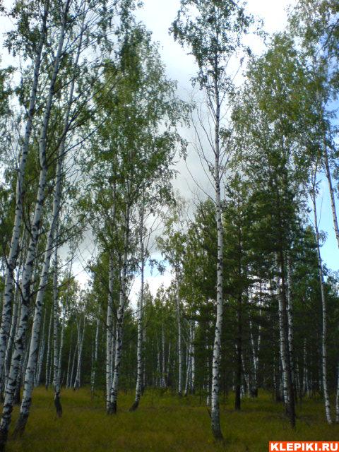 DSC00496