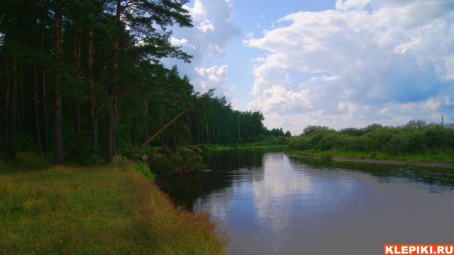 на купалке в районе Павлушкино