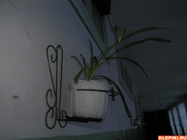 P2030021