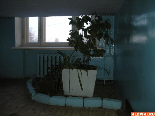P2030022
